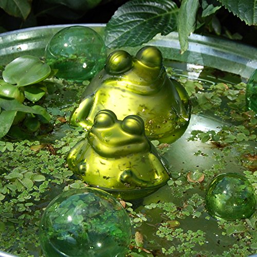 Schwimmfrosch mit Kind - 3