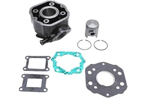 P2R Zylinder 50 A, anpassbar, für Derbi 50 Senda 1996+2005, gpr-Gilera 50 SMT 2000 + 2005, RCR (Motor Derbi Euro 2)