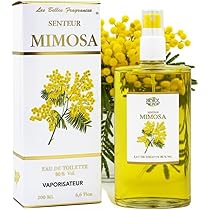 Rose Eau De Toilette Damen – Blumig-samtiger Duft Von Côte D'Azur