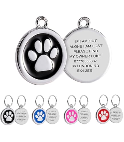 Amazon Personalized Cat Id Tags Ksz Stainless Steel Pet Id Tags