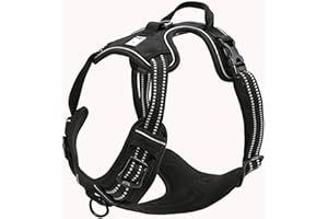 TRUE LOVE Réfléchissant Harnais De Chien Réglable Décourager Tirer Pet Gilet Durable en Nylon De Voiture TLH5651 (Noir, L)