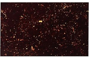 FLEOR 430 * 290 Blank Electric Guitar Bass Pickguard Material Scratch Plate Sheet,4Ply Brown Tortoise Shell