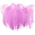 PATIKIL Colorful Feathers 3-5inch, 300pcs Goose Feathers Bulk for Crafts DIY, Wedding Home Party Decorations Dream Catcher, Purple Pink