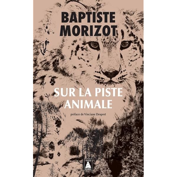 L'animal que donc je suis : Derrida, Jacques, Mallet, Marie-Louise