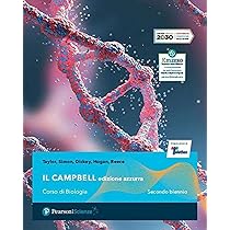 Libro Arte Svelata - Edizione Plus Per Scuole Superiori Con E-book E Contenuti Online - Foto 5