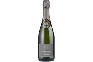 ‎BRUT DARGENT Brut Dargent - Sekt Blanc de blancs Extra Brut - Qualitativ hochwertiger Sekt aus Frankreich, Methode traditionnelle (1 x 0.75 L)