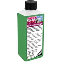 GREEN24 Rhododendron Dünger Azaleen düngen, Premium Flüssigdünger aus der Profi Linie