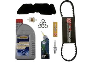 2EXTREME Inspektionsset Version 2 50ccm kompatibel für Piaggio NRG, NRG MC2 MC3 Power, NTT, Quartz, Sfera, TPH, Storm, Zip, Vespa ET2 LX, LXV, Gilera Runner, Ice, DNA, Storm, Aprilia SR, Derbi GP1