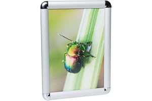 ‎DELIGHT DISPLAYS DELIGHT DISPLAYS® Klapprahmen Plakatrahmen Posterrahmen DIN A3 Rondo 25 mm Profil Silber eloxiert aus Alu