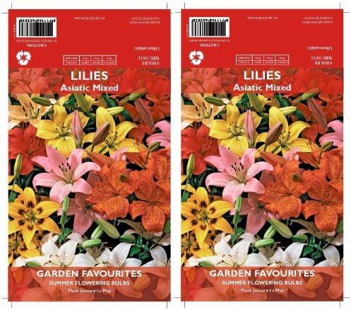2 Packs of Summer Flowering Bulbs: Lilies, Asiatic Mixed