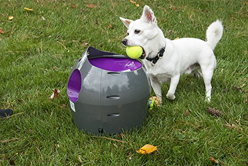 PetSafe-Automatic-Ball-Launcher