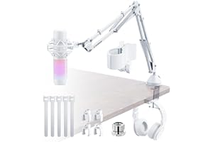 CACENCAN Overhead Mikrofon Arm [40 cm erhöhen]-Professioneller Mikrofon Ständer kompatibel mit HyperX QuadCast,Blue Yeti Mikrofon Arm,360 ° drehbarer,mit 3/8" auf 5/8" Schraubadapter,für Aufnahme,Podcasting