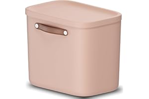 Rotho Maloja Boîte de rangement 25 l, Plastique (PP recyclé), 25 (39.5 x 26.5 x 34.0 cm)