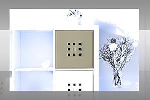 Dekaform Designer Regaltür als Fach-Einsatz, Regalsysteme mit Mass ca. 33,6cm x 33,6cm, Tür selber einbauen mit Anleitung für Ikea Regal Expedit Kallax Nornäs - Würfel Flexi - XXXL Lutz - Quelle Raumteiler - Sonderfarbe (Silber-Grau)