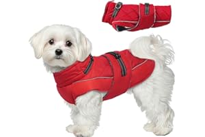 Katzinst Wintermantel Hund M, Wintermantel Hunde mit Hohem Kragen, Warmer Hundejacke mit D-Ring für Cocker Spaniel, Abend-Gassi, M