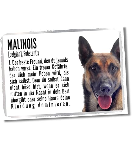 Warnschild 'Alaskan Malamute Dog Home Protected' - Metallschild Für Garten, Haus & Grundstück