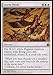 Produktbild Magic the Gathering - Storm Herd - Mandria Della Tempesta - Commander (2011 Edition)