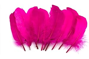 CREATIVERY 10 piume d'oca, 15-20 cm (fucsia/magenta 183D)//piume vere per bricolage