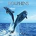 Price comparison product image 2019 Dolphins - 12 x 12 Wall Calendar