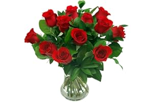 Clare Florist 12 Red Roses True Romance Fresh Flower Bouquet - Romantic Fresh Roses Hand Arranged by Expert Florists