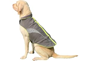 Lulala Dog Winter Coat, Waterproof Dog Jacket, Reflective Warm Dog Snow Jacket Windproof Fleece Vest for Small Breeds Dogs (Neon, Green-8Inch)
