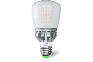 JIUYUAN Lampadina LED E27, 27W (Equivalenti a 250W) 3000K Luce Bianca Calda 3760 Lumen, Lampadine E27 LED A60, Non Dimmerabile, Pacco da 1