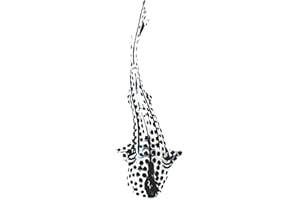 Kiss of Leather Whale Shark Pendant 925 Sterling Silver No. 389