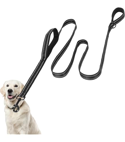 Reflektierende Hundeleine & Halsband Set – 1,5 M, Verstellbar, Mit Kotbeutelhalter – Für Kleine, Mittlere & Große Hunde – Gepolstert & Sicher Bei Nacht