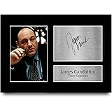 HWC Trading James Gandolfini Gift Signed A4 Printed Autograph Sopranos Gifts Photo Display