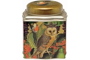 Madame Treacle Owl Dome Lid Tea Caddy 105 x 105 x 110mm