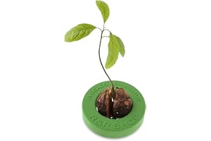 R&R SHOP Avocado Germinator - Pot Flottant pour la Germination de l'avocat, kit de Croissance des graines, Plastique de maïs 100% (Vert)