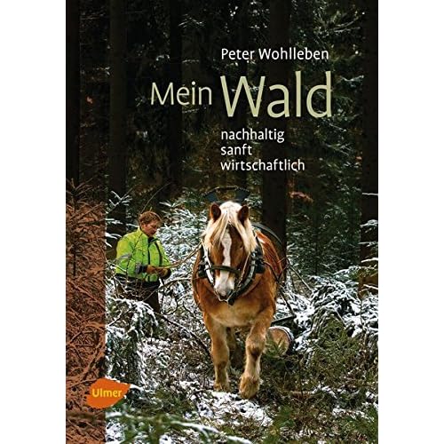Mein Wald: Nachhaltig, sanft, wirtschaftlich