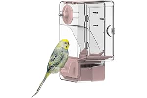 SEPTILLAR Mangiatoia automatica per uccelli, mangiatoia per gabbia per uccelli con trespolo supporto multifunzionale per frutta e verdura per parrocchetto canarino calopsitta fringuello (Rosa)
