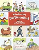 Image de Mein allererstes BildWörterBuch - Sehen und verstehen