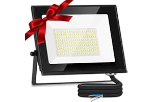 Aigostar Foco LED Exterior 50w 4300LM, Foco Proyectore LED Exterior Impermeable IP65, 6500K Blanco Frío para Garaje,Jardín,Patio,Parque