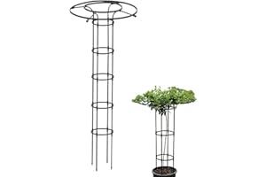 Dirfuny Jardin, Tuteur Plante Grimpante, Jardin Tuteurs Plantes, Treillis Fleur Soutien Arche Jardin en Forme Tour pour Plantes Grimpantes