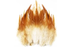 CHAOJUKJ 250PCS 10-15cm（5-7inch） Saddle Hackle Natural Rooster Feather for Crafts, Natural Pheasant Neck Feathers DIY Pendant Earrings Dream Catcher