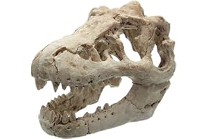 LKXHarleya Crâne de Dinosaure en résine, crâne en tête de Dragon, décoration d'aquarium