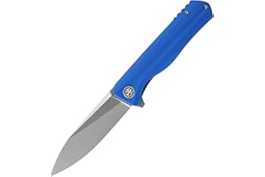 Petrified fish PF818 Coltello Pieghevole Tascabile 3.54" D2 Lama in Acciaio G10 Maniglia con Clip per Outdoor Fishing Camping Knife (Blue Stonewashed)