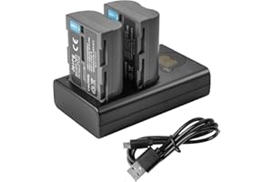 JOIRY 2 X EN-EL3E Batteria di Ricambio e Doppio caricatore Compatibile con Nikon D50, D70, D70s, D80, D90, D100, D200, D300, D300S, D700 D900 (TYPE A)