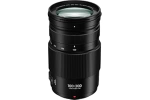 Panasonic LUMIX G II Vario Objectif 100-300 mm Miroir Micro Four Thirds, Power O.I.S, H-FSA100300 (USA Noir)