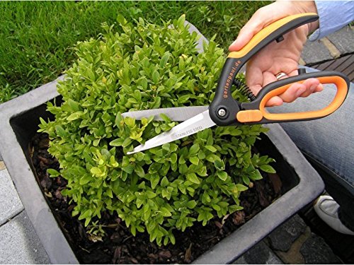 Gartenpaul Buchsbaumschere ‚Premium‘ - 9