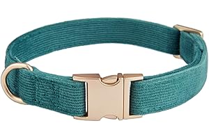 Petiry Soft Dog Collar with Safety Metal Buckle Adjustable Durable Comfort Velvet Corduroy Puppy Collars for Small Dogs,Forest Green,Neck 25-38cm