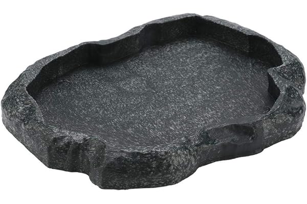 Bac à Eau Reptiles, Résine Anti-Slip Climb Pet Tortoise Caméléon Lézard Rock Potable Food Feeder Dish (M-Vert)