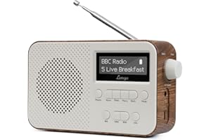 LEMEGA Radio DAB/DAB+ y FM, radios DAB compactas portátiles, radio con reloj despertador dual, 60 estaciones preestablecidas (gris piedra)