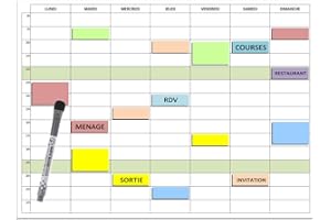 CODEX ACTION Planning semaine magnétique effaçable 30X40 cm A3 + 16 magnets 'a thèmes' effaçables repositionnables + 1 marqueur effaçable magnétique, 7 jours de 8h à 23h (16 magnets familial)