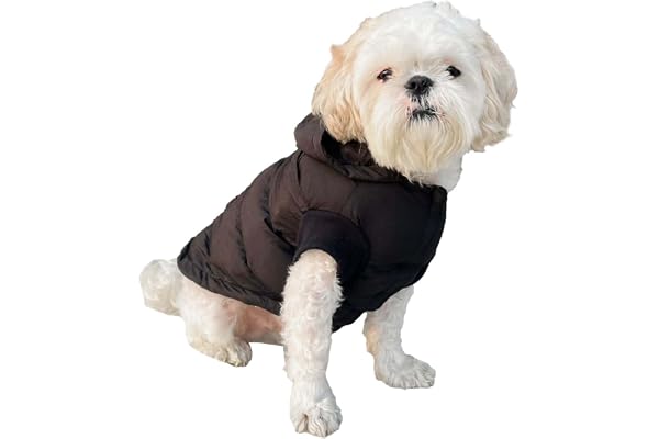 Winter Dog Puffer Jacket, Hooded Pet Coat, Black (only for Small Breed)(12INCH)