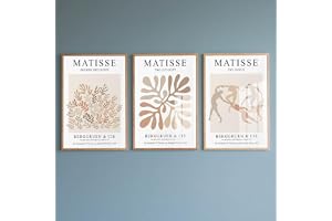 PWAAHDC Matisse Set of 3 Bohemian Wall Art Canvas Prints for Living Room (Unframed, 30 x 40 cm)