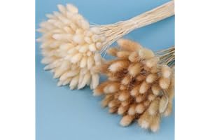 ONING 120 Pcs Trockenblumen Klein Pampasgras, 45 cm Natürliche Lagurus Getrocknet Blumen Getrocknetes Schilfgras für Hochzeit Hause Party Wedding Büro Fotografie Vase Deko Weiss Braun