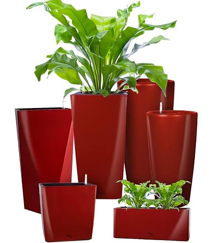 Floralo e. K. Pflanztopf Teramo rund, hochglnzend (rot, 52 cm hoch x 25  cm) mit herausnehmbarem Pflanzeinsatz - Blumentopf Pflanzgef Topf  Pflanztopf bertopf Pflanzsule : Amazon.de: Garten